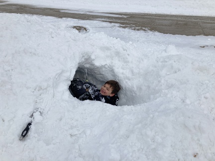 Burrowing in the Snow Pile6